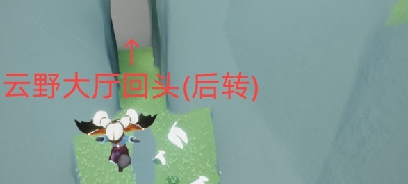光遇青色光芒在哪里收集-快速收集青色光芒方法分享
