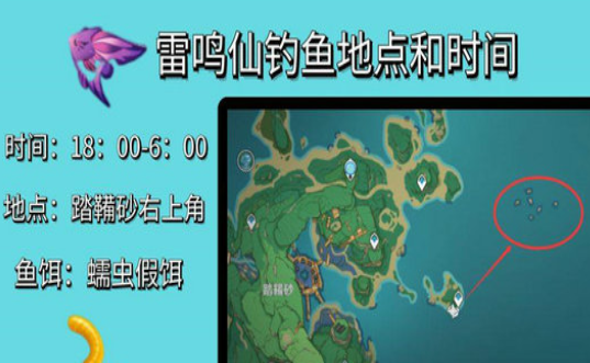 原神雷鸣仙在哪钓-雷鸣仙出没时间及位置介绍 